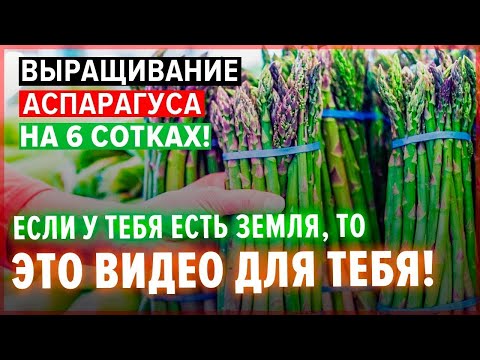 ТОП 7 Новых Станков для бизнеса окупающихся моментально. Оборудование для бизнеса 2022. Бизнес идеи