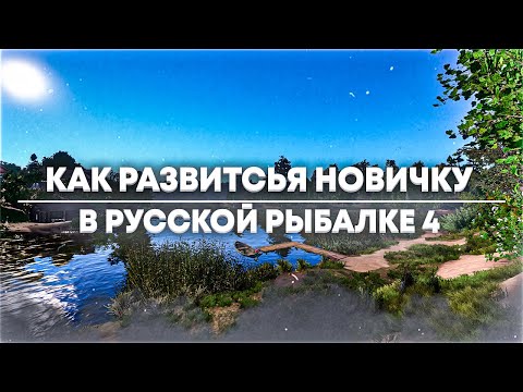 $100 в ДЕНЬ БЕЗ ВЛОЖЕНИЙ на ОДЕЖДЕ 🟡 Заработок в Интернете. Бизнес идеи. Как Заработать Деньги