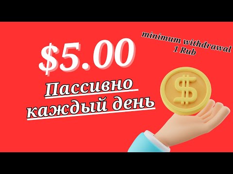 Советы для начинающего вебмастера для успешного старта