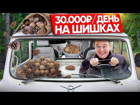 Что купить в Москве до 9 млн рублей? // Недвижимость 2024