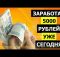 как заработать 5000 руб. уже сегодня! заработок денег дома, заработок 2024. деньги в интернете есть