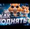 СКАМ ХОМЯК ? БЫСТРАЯ ПРОКАЧКА в Hamster Kombat / Обзор Игры ХАМСТЕР КОМБАТ -  КАК ЗАРАБОТАТЬ ДЕНЬГИ