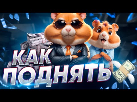 СКАМ ХОМЯК ? БЫСТРАЯ ПРОКАЧКА в Hamster Kombat / Обзор Игры ХАМСТЕР КОМБАТ -  КАК ЗАРАБОТАТЬ ДЕНЬГИ